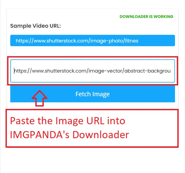 Paste the Image URL into IMGPANDA's Downloader