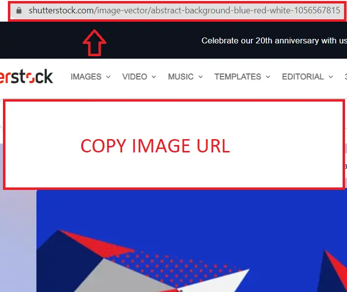 Find the Image You Want to Download and Copy the image's URL.