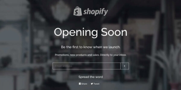 Shopify password protect page How to enabledisable it for your store