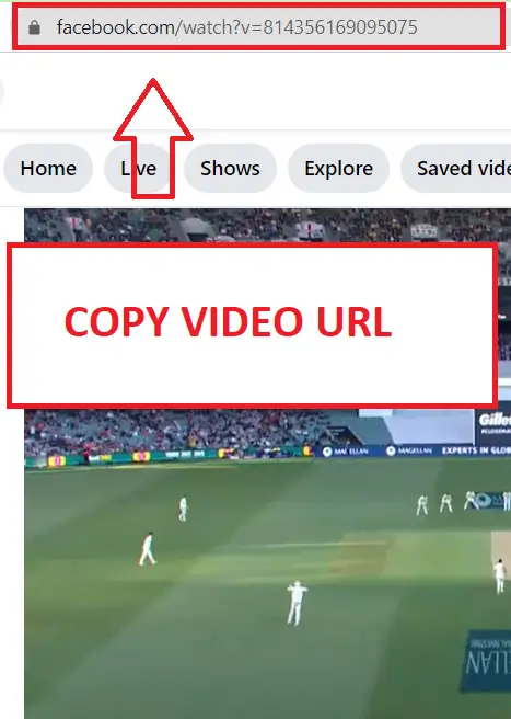 Copy the Video URL