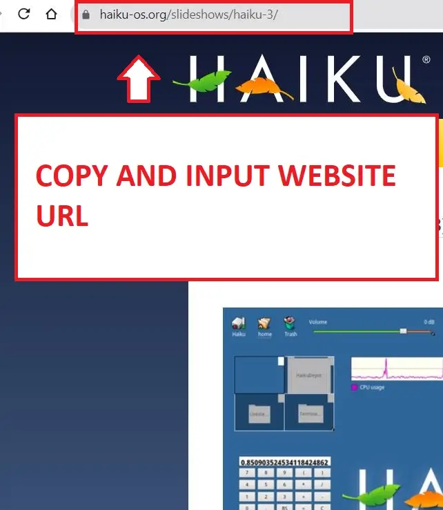 Copy and Input Haiku URL