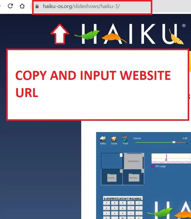 Input Snapfish URL