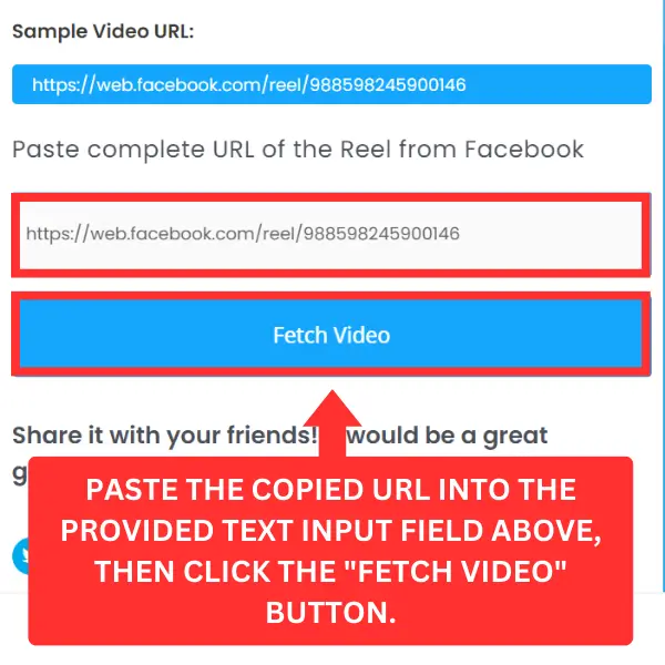Paste Reel URL and Click on the Fetch Video Button