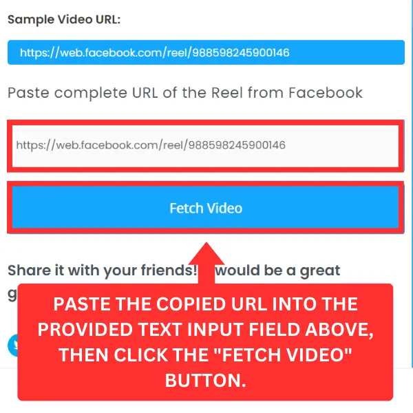 Paste Video URL and Click on the Fetch Video Button