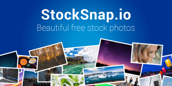 StockSnap Unleashing Creative Treasure Troves