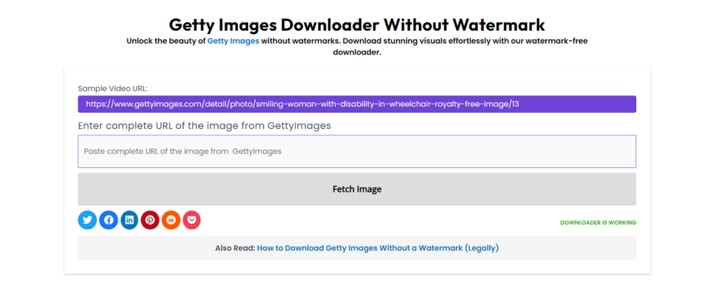Visual Excellence: 4K Unleashed with Getty Images Downloader