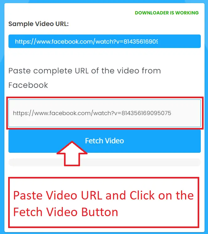 Paste the Video URL and Fetch