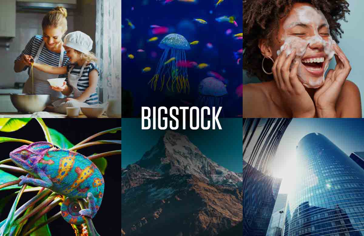 Understanding Bigstockphoto