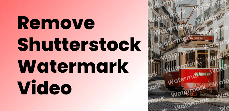 Understanding Watermarked Videos on Shutterstock