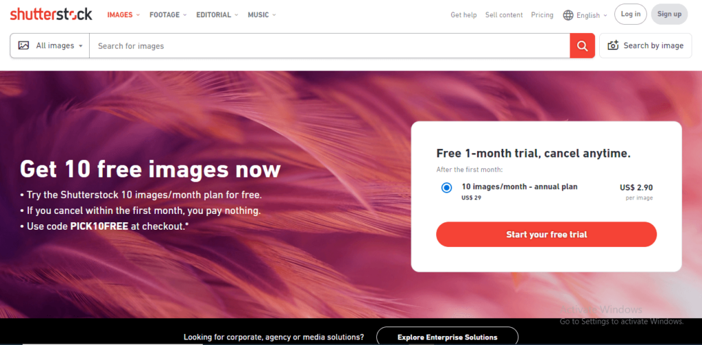 Unlocking the Vault How to Get Shutterstock Images for Free