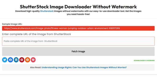 how to download shutterstock images without watermark