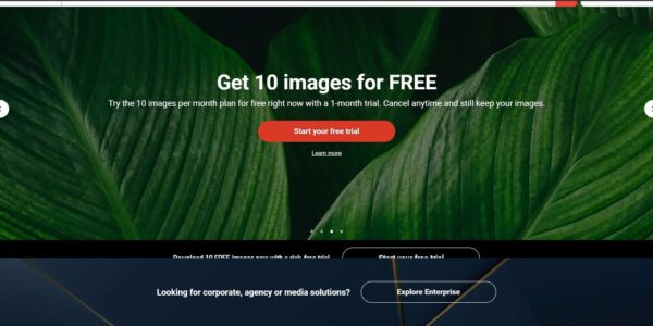 How To Get Shutterstock Images For Free Without Watermark