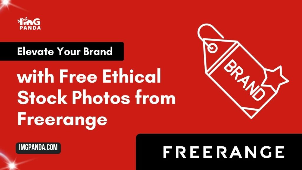 Elevate Your Brand with Free, Ethical Stock Photos from Freerange