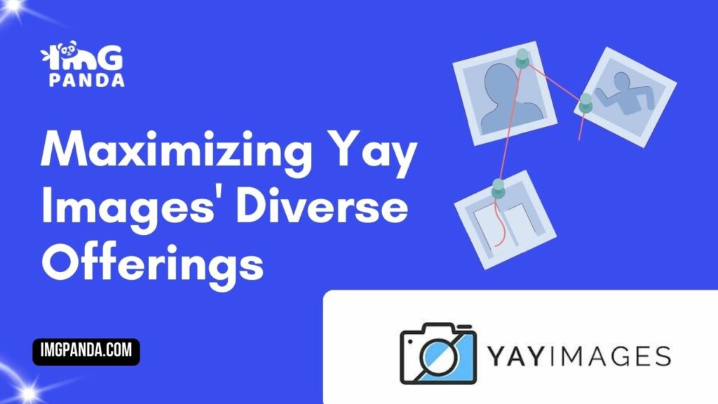 From Photos to Vectors Maximizing Yay Images' Diverse Offerings