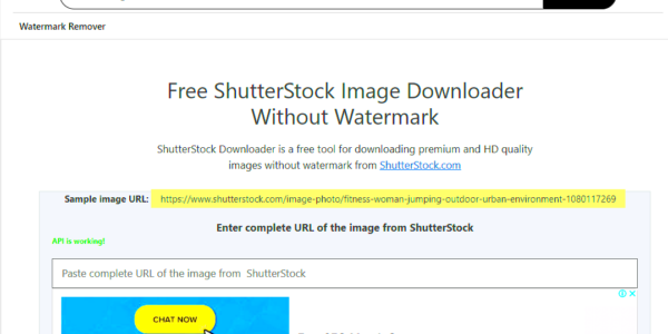 Best Shutterstock Images Downloader Simplifying the Image Downloading