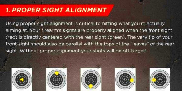 A Quick Guide To Shooting Fundamentals infographic  Year Zero