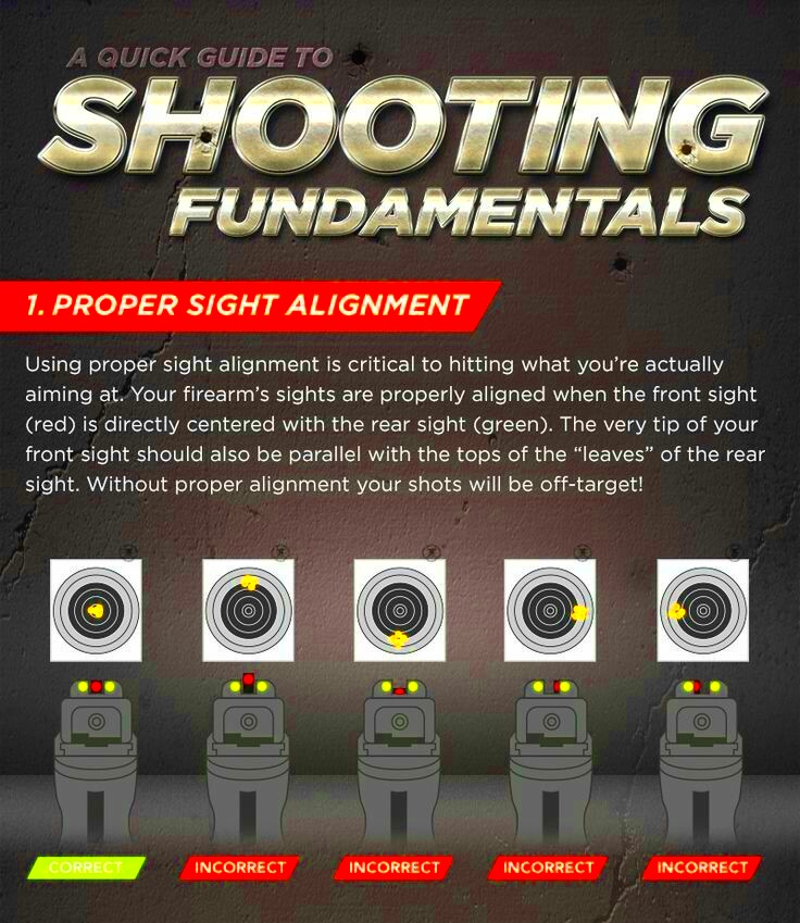 A Beginner’s Guide to How ShootProof Works