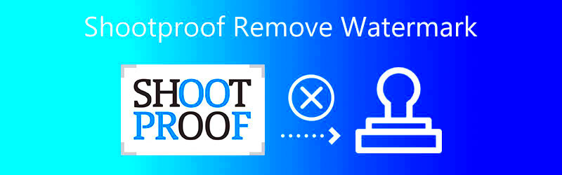 How to Download Images Without a Watermark on ShootProof