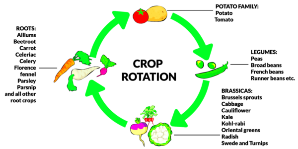 Crop Rotation