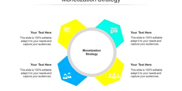 Monetization Strategy Ppt Powerpoint Presentation Gallery Information