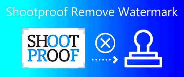 How to Remove Shootproof Watermark Completely In an Instant