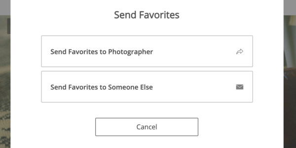 How to use Favorites Notification  ShootProof Support