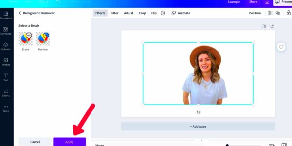 How to Remove Background From Image in Canva  Cappuccino and Fashion