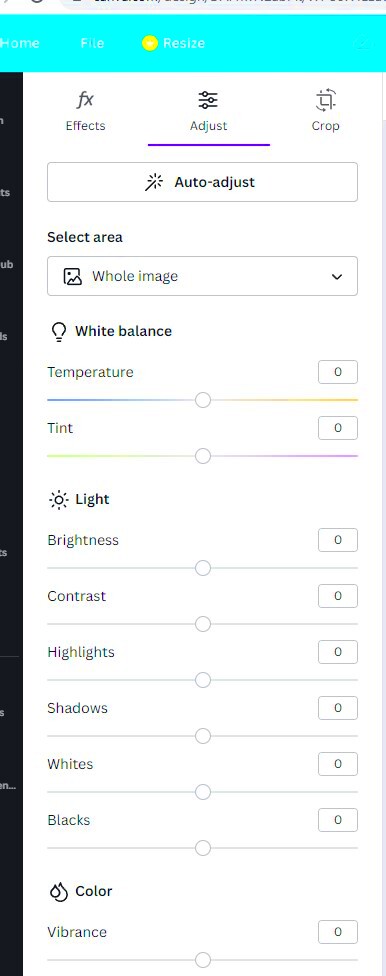 Canva Image Color Adjustment