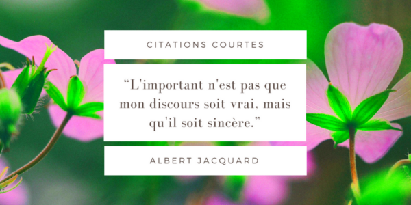 Les plus belles citations courtes du Web  Canva