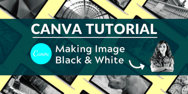 How to Make an Image Black and White in Canva  Blogging Guide