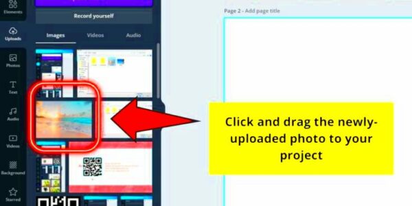 How to Add Images in Canva  Stepbystep Instructions