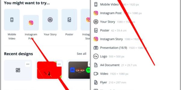 How to Resize Image in Canva on Mobile and PC  TechWiser