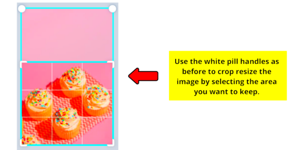 How to Change the Shape of a Photo in Canva  Top Tips