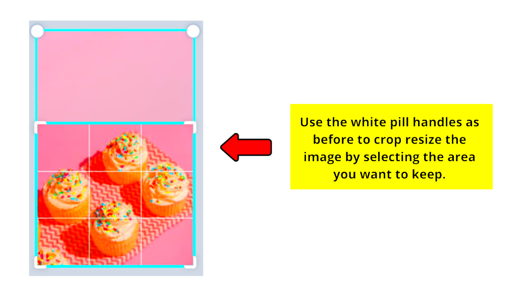 Canva Image Shape Adjustment