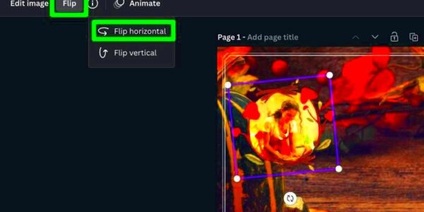 How To Use Frames In Canva Ultimate Guide