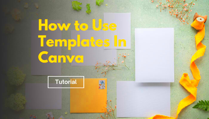 How To Use Templates In Canva  Easy Method