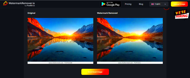 How to Remove Shutterstock Watermarks from Your Images