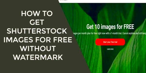 How To Get Shutterstock Images For Free Without Watermark