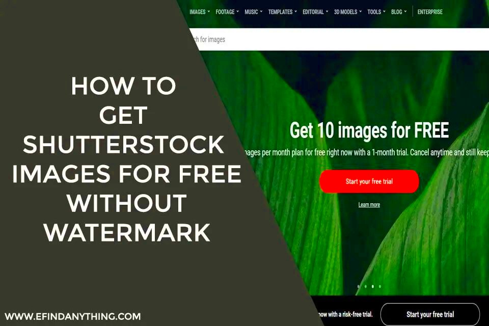 How to Find Shutterstock Images for Free and Save Money