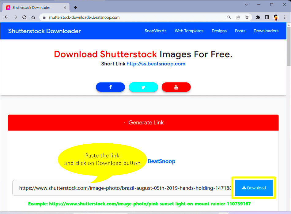 How to Download Shutterstock Images from Lightbox for Your Needs