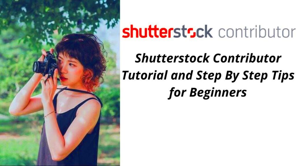 How Shutterstock Contributor Program Works and How to Get Involved