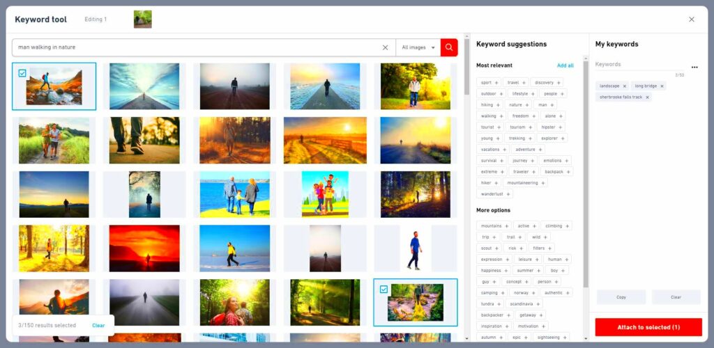 How Many Keywords Should You Use on Shutterstock for Better Visibility