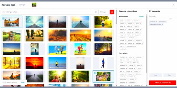 Best Keywords For Shutterstock  Photographers Freedom