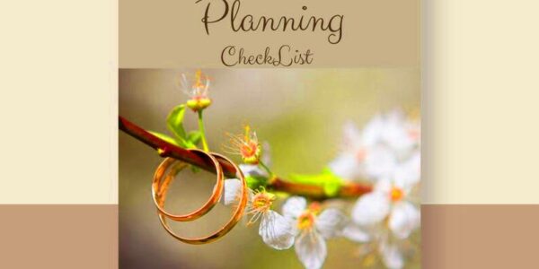 Ultimate Wedding Organizer Printable Checklist Timeline  Binder