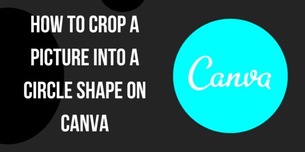 How to Crop a Picture into a Circle Shape on Canva  YouTube