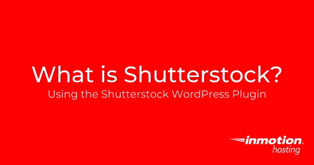 How to Use Shutterstock for Various Projects and What You Need to Know