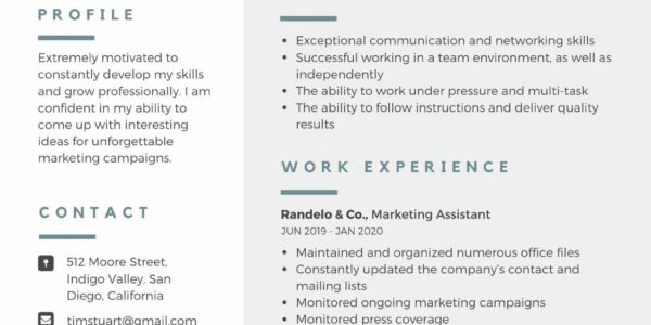 Modern Professional Resume  Templates by Canva