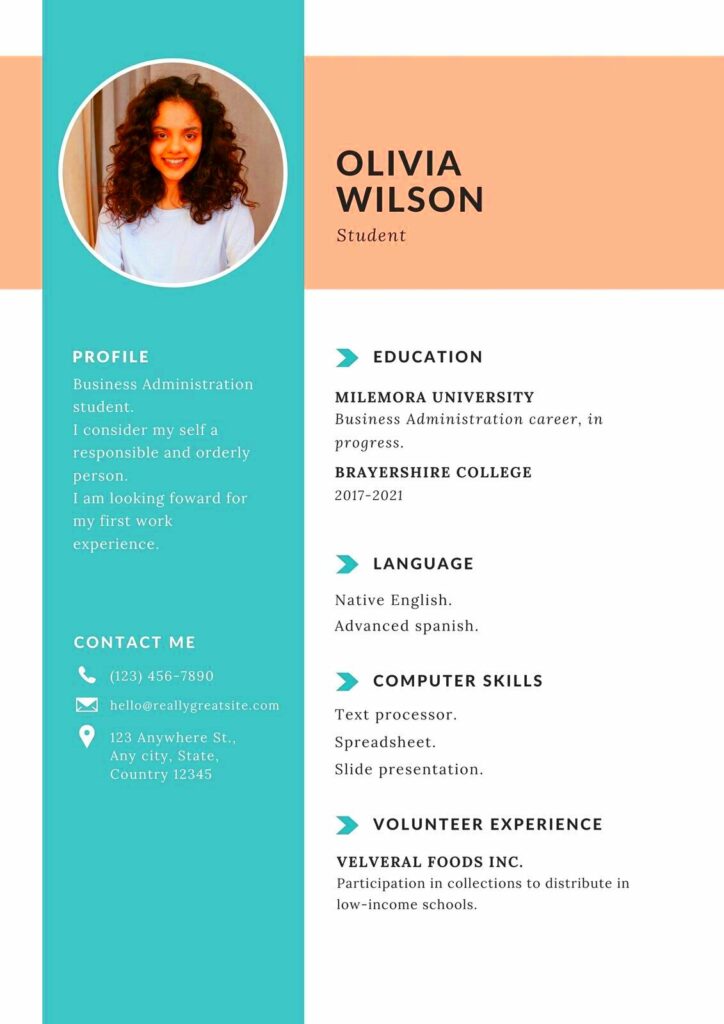 Design Professional Resumes with Canva Templates Resume