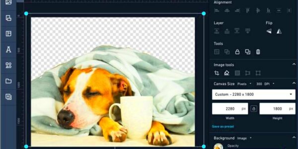 How to Remove Backgrounds from Images  Shutterstock