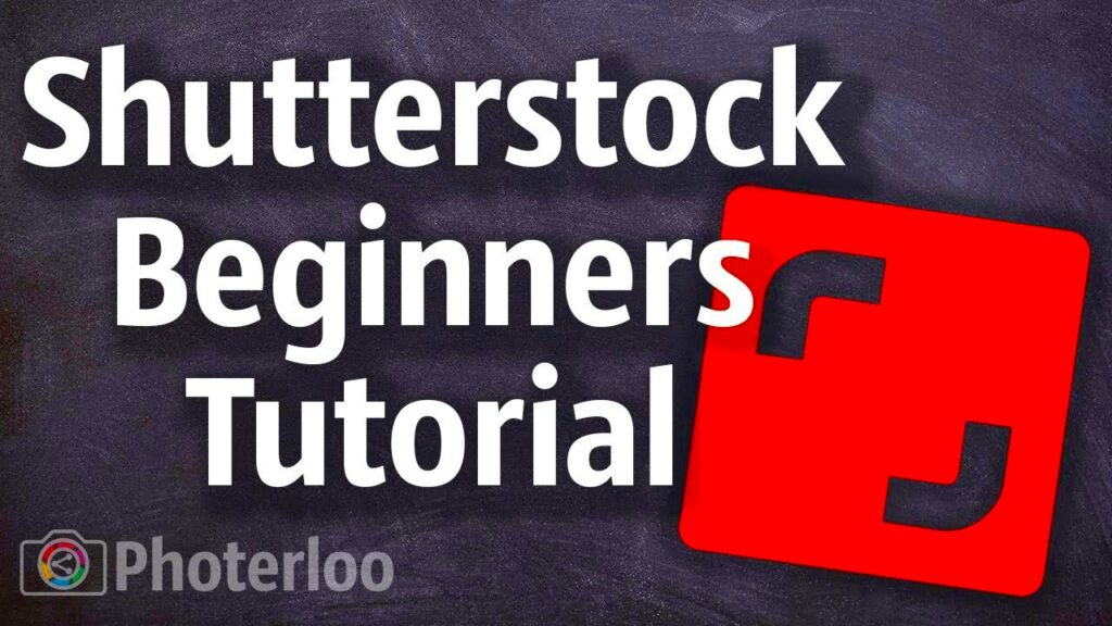 How Shutterstock Contributor Program Works and How to Get Involved